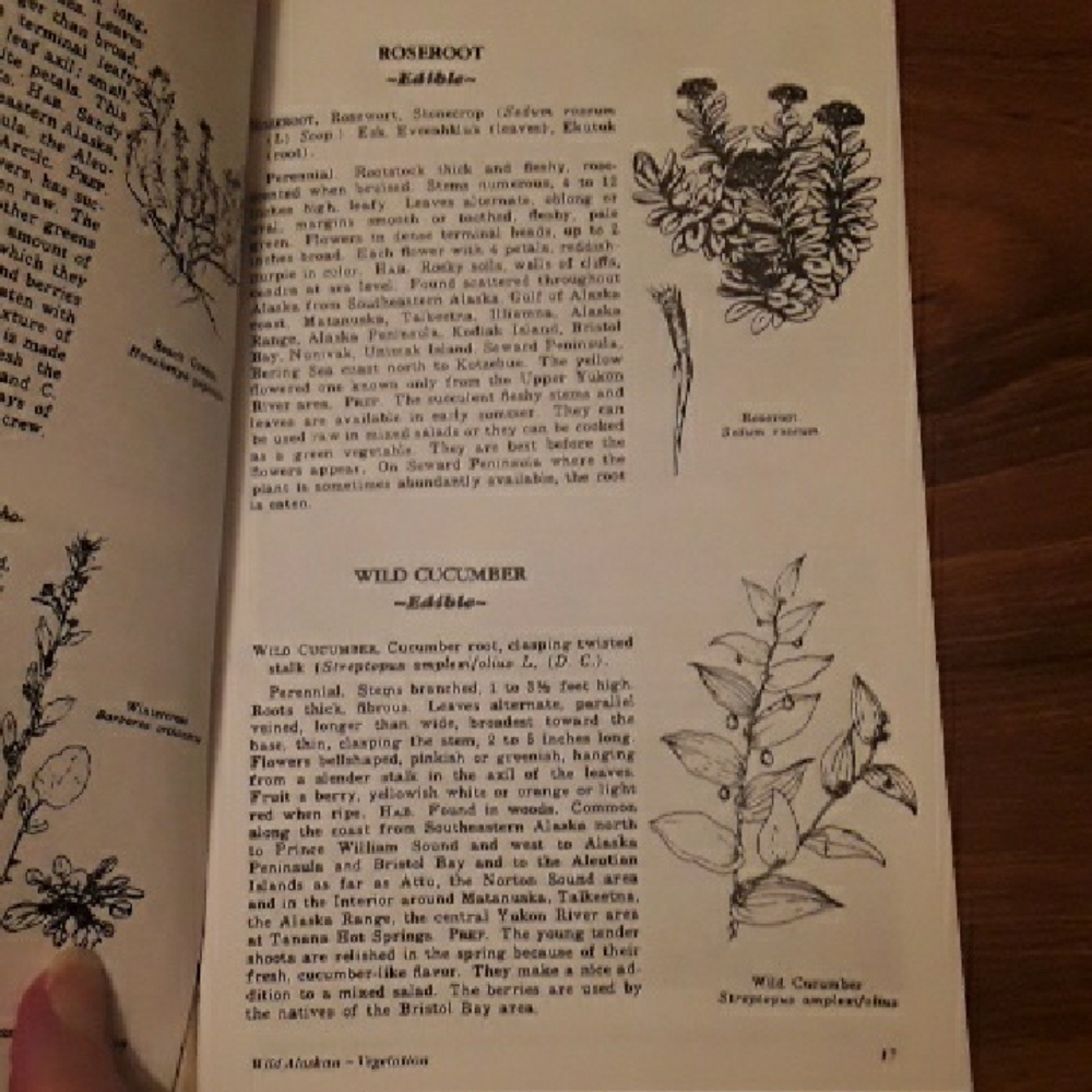 Alaskan Cookbook - Picture 5 of 9